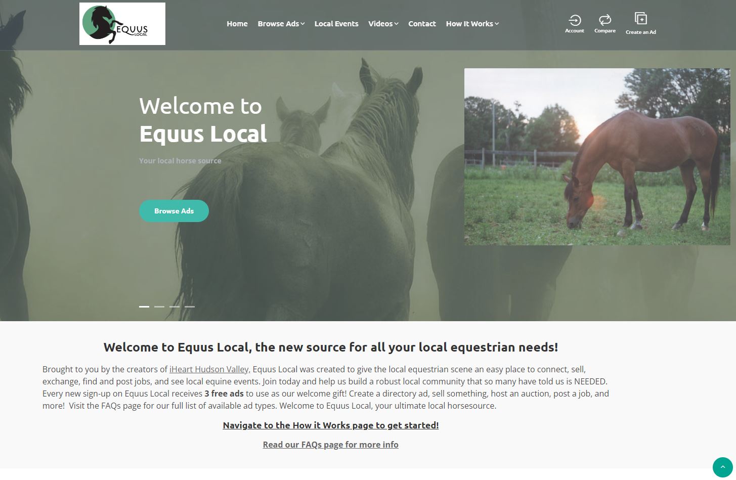 equuslocal Equus Local